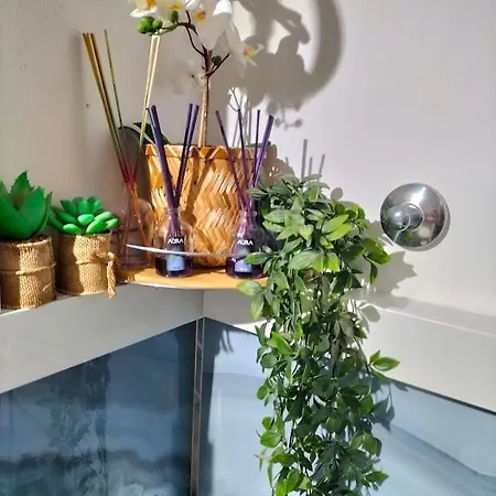 アパート Casa Art Residenza Bouganville コスタ・デ・アンティグア